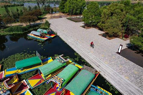 Parque Ecol Gico De Xochimilco El Imperdible Del Sur De La Cdmx