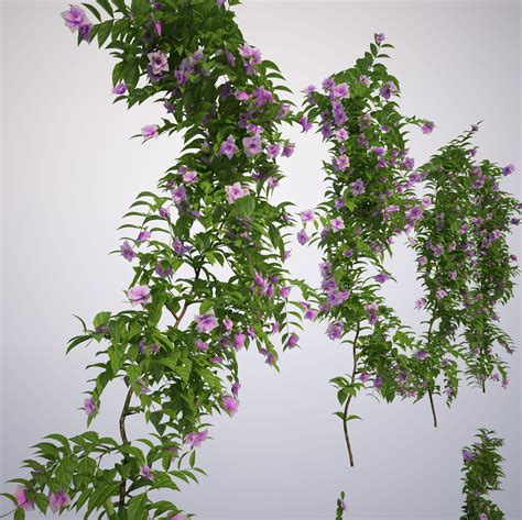 Generic Climbing Blooming Plants 3D Model 139 Max Free3D