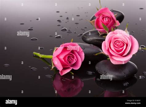 Spa Stone And Rose Flowers Still Life Healthcare Concept Stock Photo