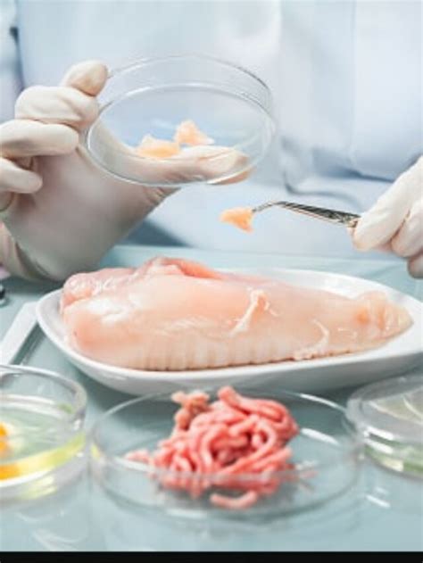 The Ban On Lab Grown Meat In Italy Explained