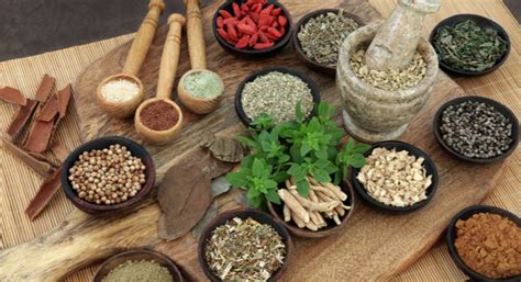 4 Immunity Boosting Spices And Herbs You Must Know About Pragativadi