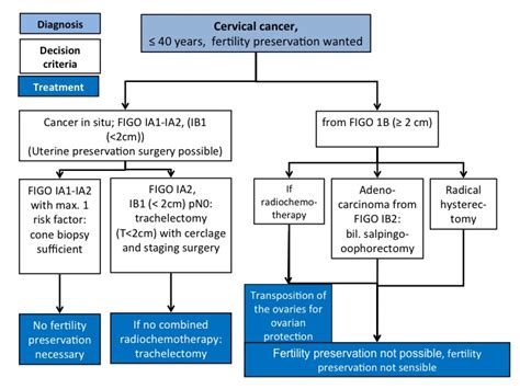 Cervical Cancer Lesions