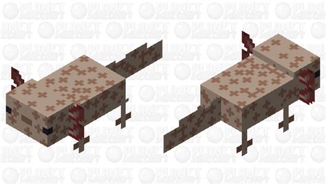 Copper Axolotl Minecraft Mob Skin