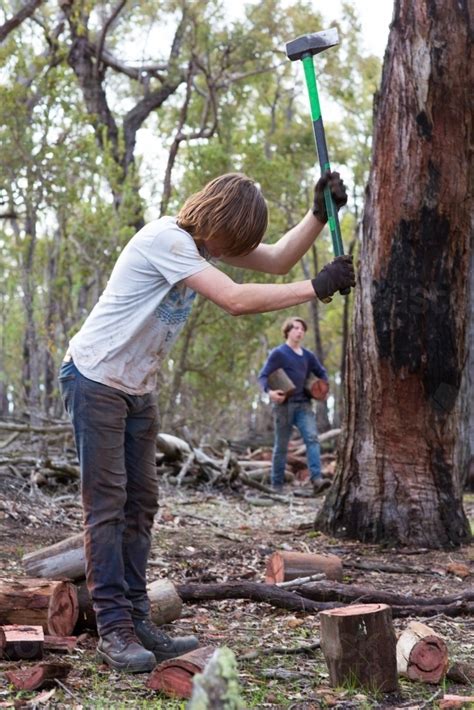 Image of Chopping firewood in the bush - Austockphoto