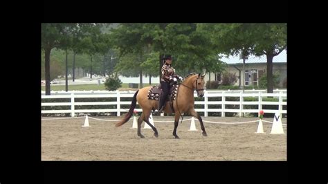 Shirley And Romeo Western Dressage Basic Level Test Youtube