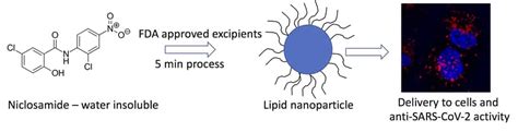 Lipid Nanoparticle Formulation Of Niclosamide Nano Ncm Effectively