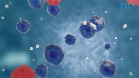 Animation immune system - MedicalGraphics