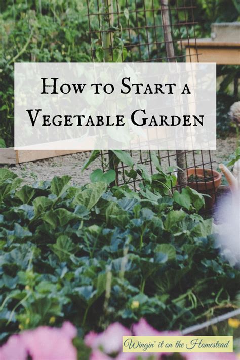 How To Start Your Own Vegetable Garden Winging It On The Homestead