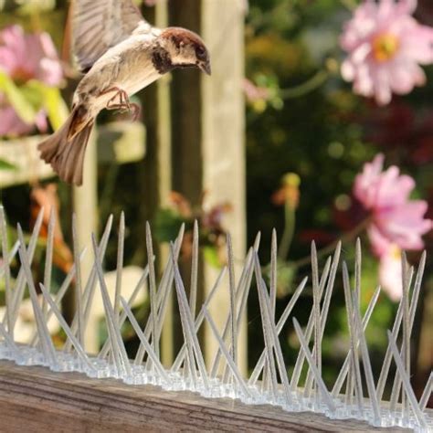 Bird Deterrent Spike | Get Rid of Birds & Stop Birds Landing