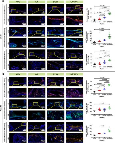 Full Article Go Cu Nanosheet Integrated Hydrogel Platform As A