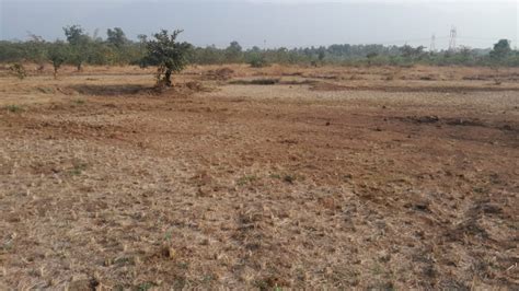 Agricultural Land 52 Guntha For Sale In Murbad MIDC Thane REI1219449