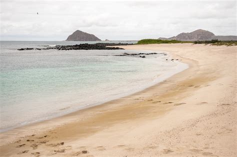 10 Best Beaches in Galapagos for 2024: Must-See Locations