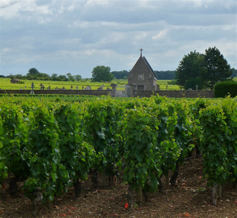 Puligny Montrachet Vineyards Dave Aragona Flickr