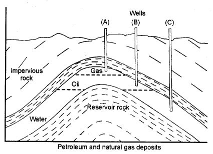 Class 8 Science Chapter 5 Materials Coal And Petroleum