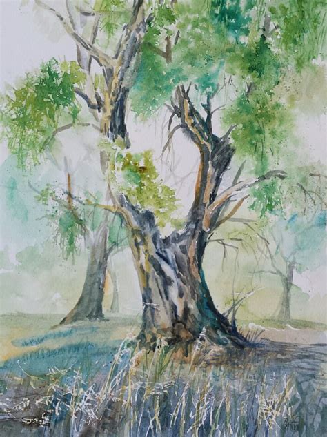 Aquarell Lbaum Von Brigitta M Arnold Aquarell