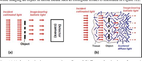 Figure A From Tomographie Par Coh Rence Optique Pour La Chirurgie