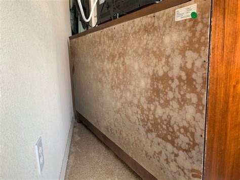 Mold Damage Insurance Claims United Claims Specialists