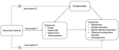 Nutrients Free Full Text Exploring The Association Between Serum B