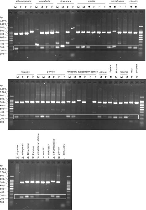 Sex Determination And Sex Chromosomes Are Shared Across The Radiation