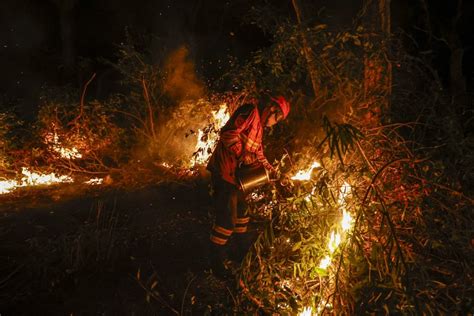 R Cord Hist Rico De Incendios En El Pantanal Brasile O En Junio