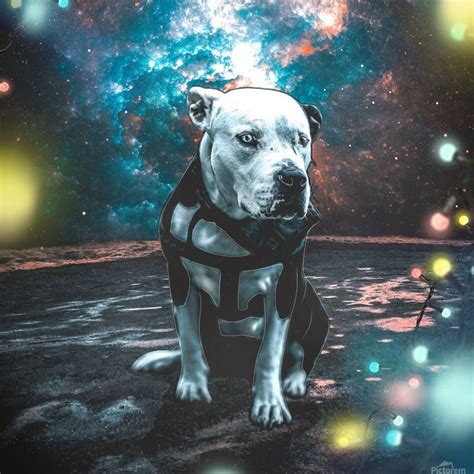 Space Dog Wallpapers 4k Hd Space Dog Backgrounds On Wallpaperbat