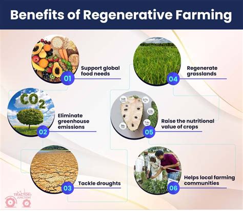 Regenerative Agriculture A Step Towards Sustainable Farming