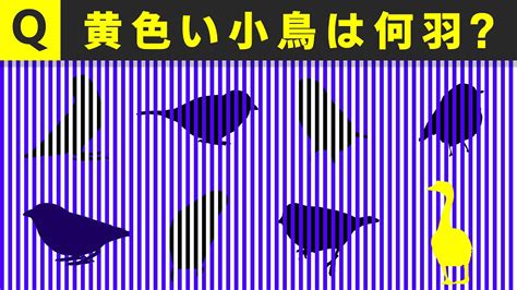 超難問！天才にしか解けない錯視クイズ 1 脳トレ専門 認知症予防 Youtube