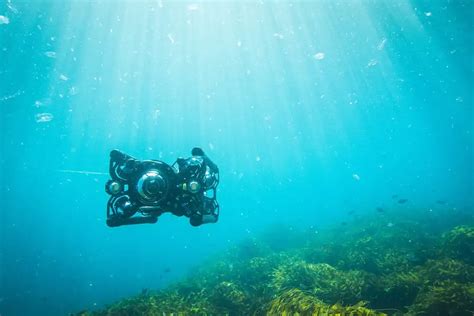 Boxfish Introduces Autonomous Rov Capability Ust