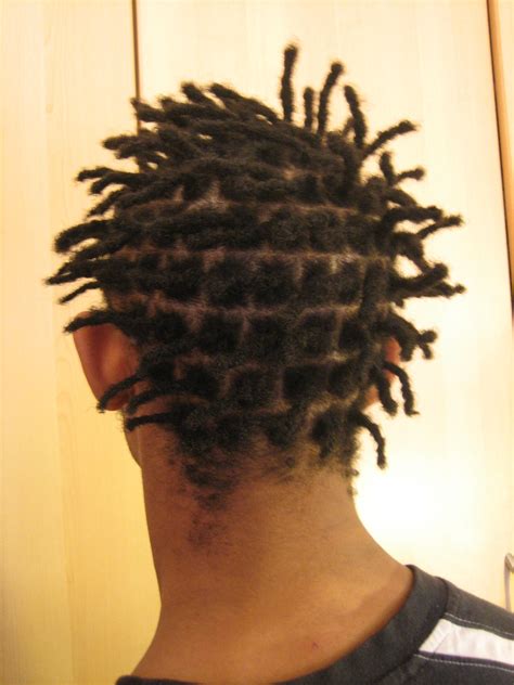 How To Start Dreadlocks With Long Hair A Step By Step Guide Best