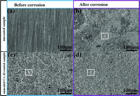 Surface Sem Images Of The Uncoated Sample A Before And B After Lbe