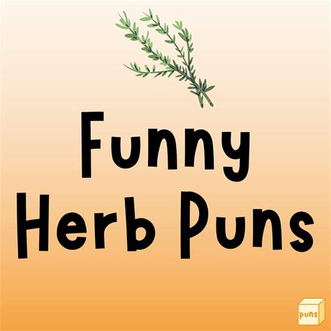 150 Funny Herb Puns To Make You Laugh Box Of Puns