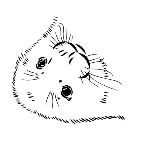 Seal Vector Sketch 36438162 Vector Art At Vecteezy