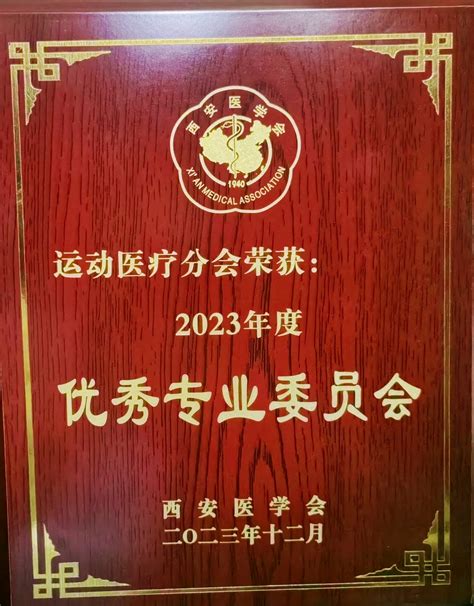 西安医学会运动医疗分会连续2年获“优秀专业委员会” 西部网（陕西新闻网）