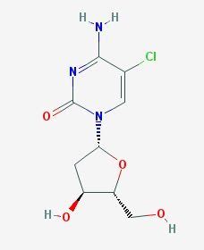 Chloro Deoxycytidine Cas Scbt Santa Cruz