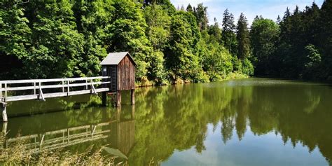 Wasserwanderweg Zellerfelder Kunstgraben Wanderung Outdooractive