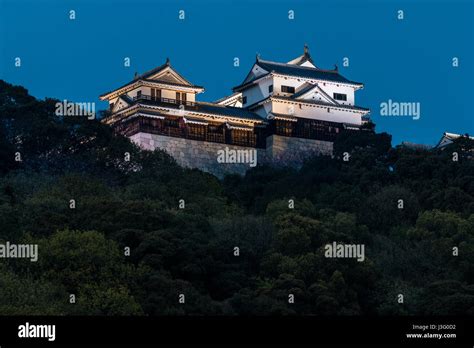 Japan, Ehime, Matsuyama Castle. Night time view of the tenshu, keep illuminated on top of the ...