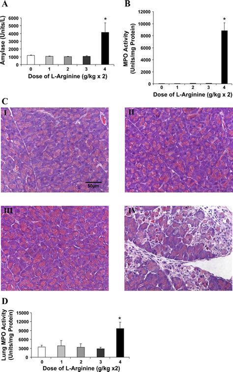 L Arginine Induced Experimental Acute Pancreatitis Pancreapedia