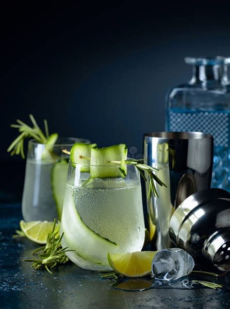 Gin Tonic With Rosemary Lime And Cucumber In Frosted Glass Stock Image Image Of Closeup