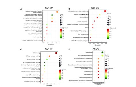 Functional Enrichment Analysis In Go And Kegg A Biological Process