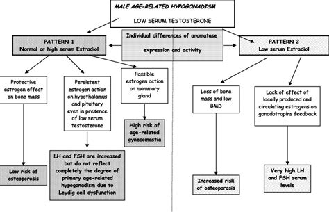 Osteoporosis And Male Age Related Hypogonadism Role Of Sex Steroids On