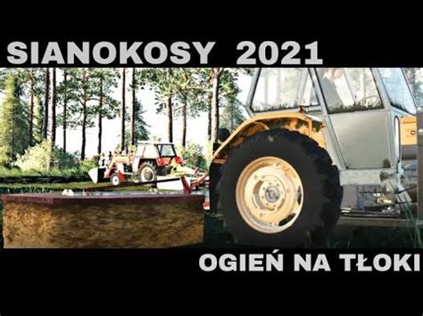 Polskie Sianokosyursusy W Swoim Ywiole Sianokosy K Farming