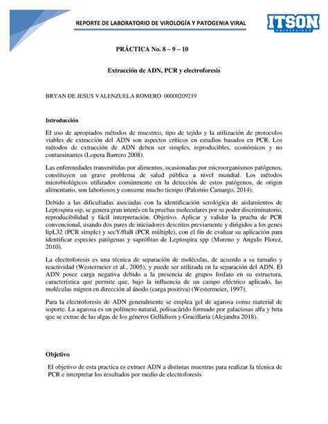 Reporte 8 9 10 Virologia PrÁctica No 8 9 10 Extracción De Adn