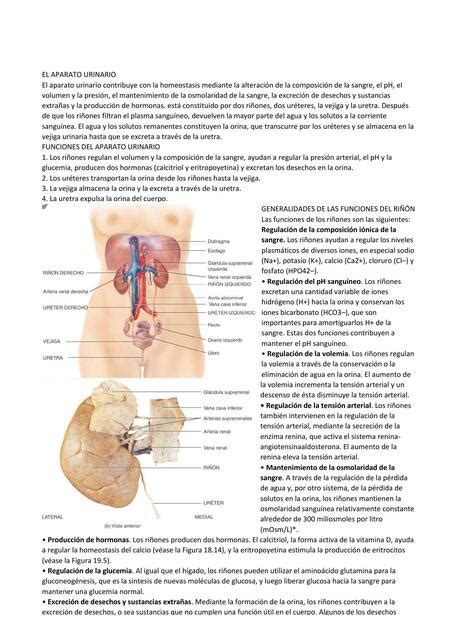 Resumen Cap Tulo Principios De Anatom A Y Fisiolog A Tortora Gj