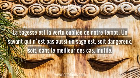 La Sagesse Est La Vertu Oubliée De Notre Temps Un Savant Qui Nest Pas