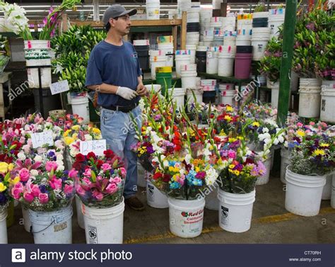 Los Angeles - A man waits for customers in Los Angeles' flower market ...