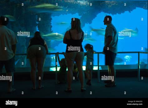 Texas, Corpus Christi. People at the Corpus Christi aquarium Stock Photo - Alamy