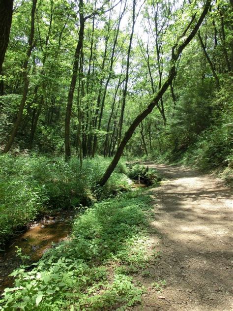 Free Images Tree Nature Path Pathway Grass Trail Meadow Summer