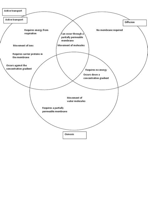 Active Transport Vs Passive Transport Venn Diagram