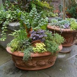 Herb Gardens Tips From The Experts