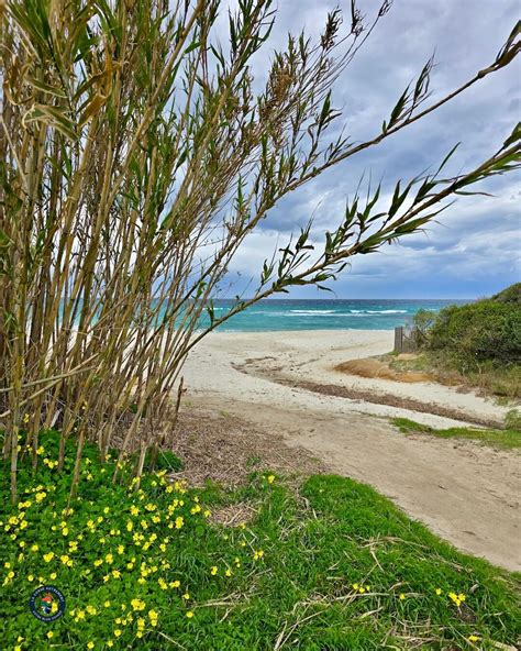 Les Plages De Bodri Et De Ghjunchitu